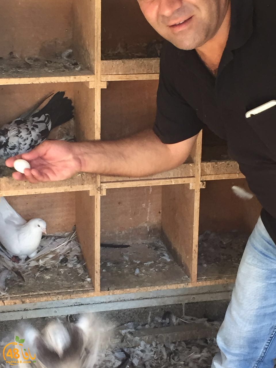 zohdy 3ashor (4).jpg